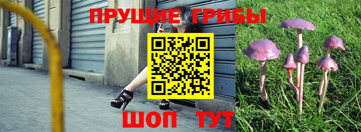 Удомля  Псилоцибиновые грибы Psilocybine cubensis  Вход с VPN 